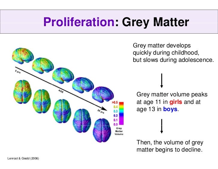 Teenage brain development: the basics